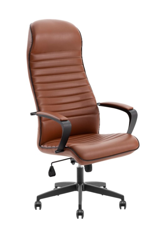 PEGASUS BOYALI Resmi