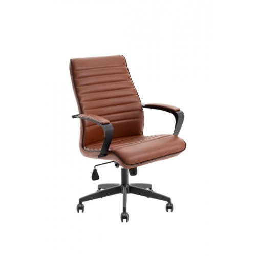 PEGASUS BOYALI - PGS11, PGS12, PGS13, PGS14, PGS15, PGS16 Görsel 