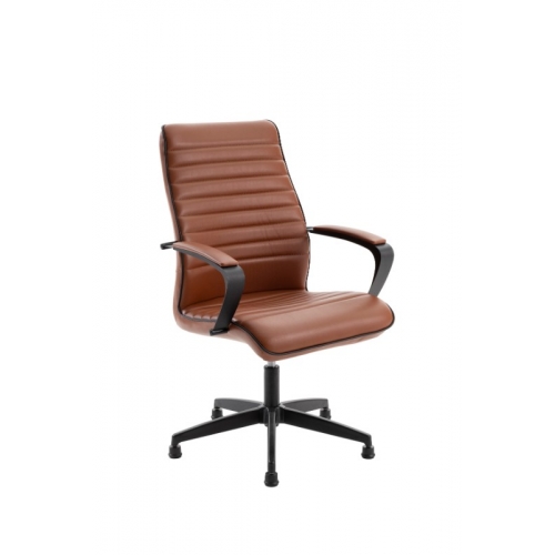 PEGASUS BOYALI - PGS11, PGS12, PGS13, PGS14, PGS15, PGS16 Görsel 