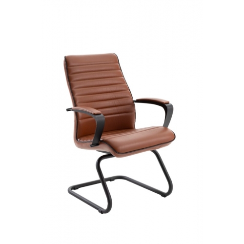 PEGASUS BOYALI - PGS11, PGS12, PGS13, PGS14, PGS15, PGS16 Görsel 